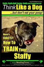 Staffy, Staffy Bull Terrier, Staffy Dog Training AAA Akc