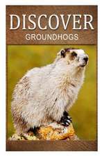 Groundhogs - Discover