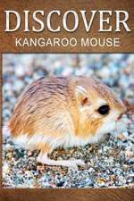 Kangaroo Mouse - Discover