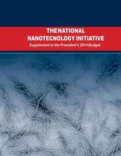 The National Nanotechnology Initiative