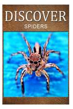 Spiders - Discover