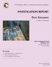 Investigation Report Dust Explosion