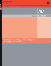 Partial Results from Prototype Testing Effects for Disk Imaging Tools