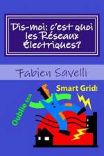 Dis-Moi, C'Est Quoi Les Reseaux Electriques?