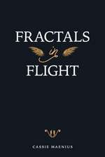 Fractals in Flight