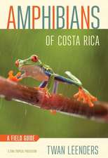 Amphibians of Costa Rica – A Field Guide