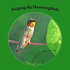 Helping the Hummingbirds