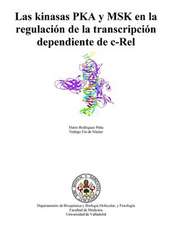 Las Kinasas Pka y Msk En La Regulacion de La Transcripcion Dependiente de C-Rel