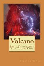 Volcano