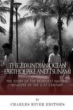 The 2004 Indian Ocean Earthquake and Tsunami