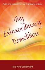 My Extraordinary Demolition