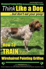 Wirehaired Pointing Griffon, Wirehaired Pointing Griffon Training Think Like a Dog But Don't Eat Your Poop! Wirehaired Pointing Griffon Breed Expert T