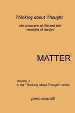 Thinking about Thought 3 - Matter