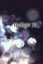 Indigo 33