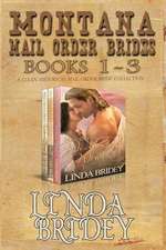 Montana Mail Order Brides - Books 1 - 3