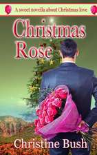 Christmas Rose