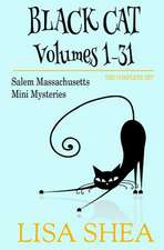 Black Cat Vols. 1-31 - The Salem Massachusetts Mini Mysteries