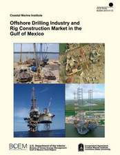 Offshore Drilling Industry and Rig Construction Market in the Gulf of Mexico