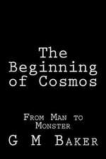 The Beginning of Cosmos