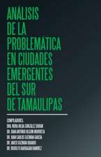 Análisis de la problemática en ciudades emergentes del sur de Tamaulipas