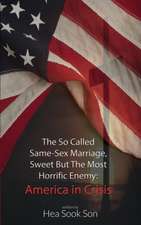 The So Called Same-Sex Marriage, Sweet But the Most Horrific Enemy: America in Crisis