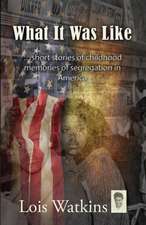 What It Was Like...Short Stories of Childhood Memories of Segregation in America