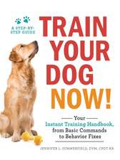 Train Your Dog Now!