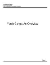 Youth Gangs