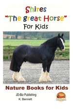 Shires the Great Horse for Kids