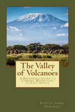 The Valley of Volcanoes