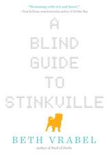 A Blind Guide to Stinkville