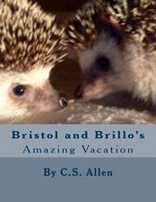 Bristol and Brillo's Amazing Vacation