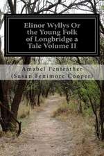 Elinor Wyllys or the Young Folk of Longbridge a Tale Volume II