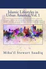 Islamic Lifestyles in Urban America, Vol. 1