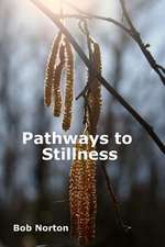 Pathways to Stillness