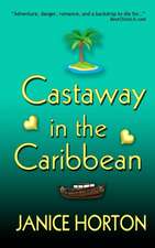 Castaway in the Caribbean