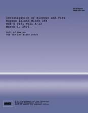 Investigation of Blowout and Fire Eugene Island Block 284 Ocs-G 0991 Well A-13 March 1, 2001