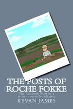 The Posts of Roche Fokke