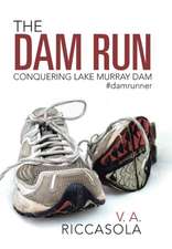 The Dam Run