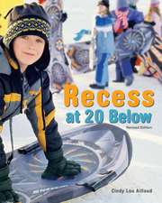 Recess at 20 Below, Revised Edition