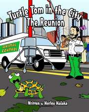 Turtle Tom in the City