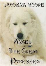 Angel the Great Pyrenees