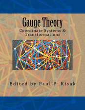 Gauge Theory