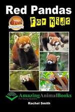 Red Pandas for Kids