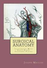 Surgical Anatomy