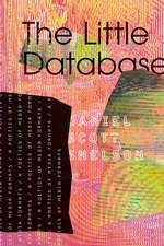 The Little Database: A Poetics of Media Formats