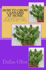 How to Grow Cannabis at Home