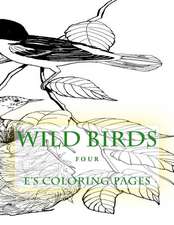 Wild Birds Four