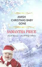 Amish Christmas Baby Gone