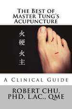 The Best of Master Tung's Acupuncture